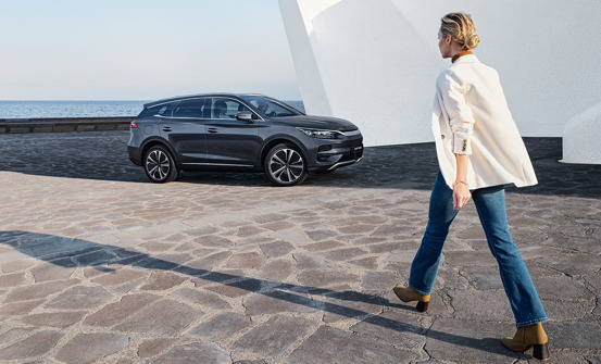 Vil du eje eller privatlease?