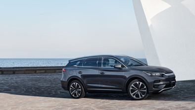 Grå BYD TANG parkeret ved vandet