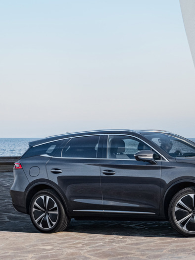 Grå BYD TANG parkeret ved vandet