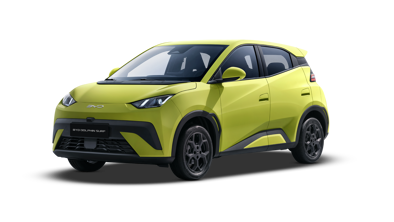 BYD DOLPHIN SURF GREEN Gallery